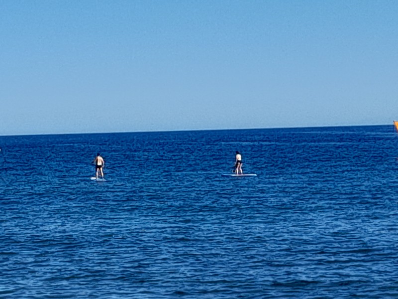 Surfen El Médano